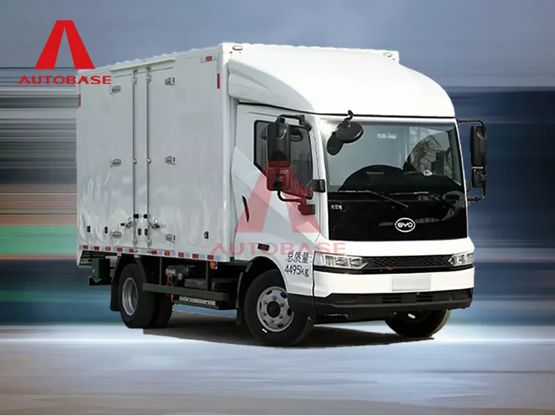 Byd t5ev reiner elektrischer Lichtwagen
